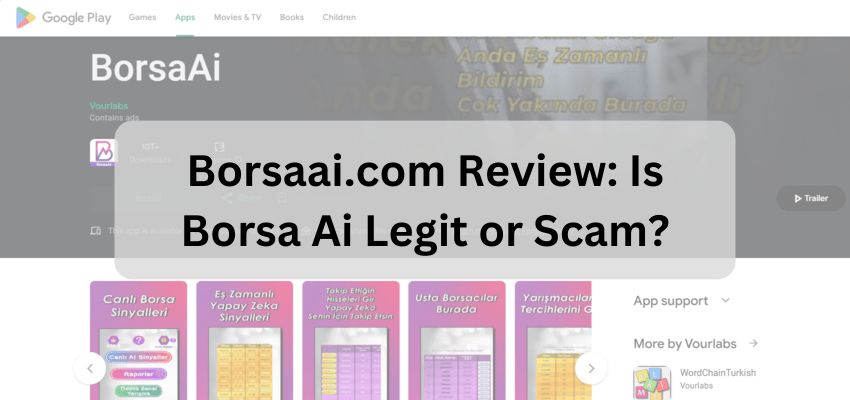 Borsaai.com Review Is Borsa Ai Legit or Scam